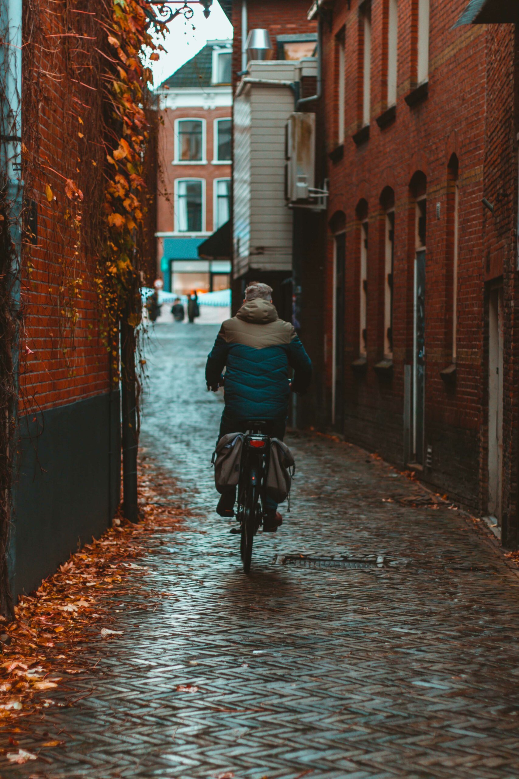 Portfolio sophie rinsma street man op fiets scaled 1